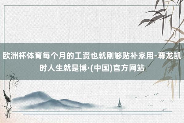 欧洲杯体育每个月的工资也就刚够贴补家用-尊龙凯时人生就是博·(中国)官方网站