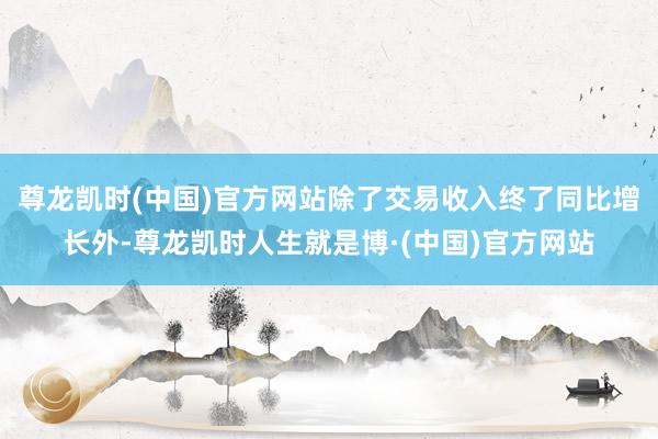 尊龙凯时(中国)官方网站除了交易收入终了同比增长外-尊龙凯时人生就是博·(中国)官方网站