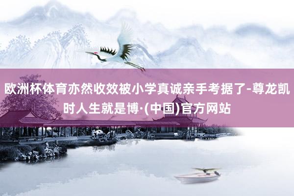 欧洲杯体育亦然收效被小学真诚亲手考据了-尊龙凯时人生就是博·(中国)官方网站