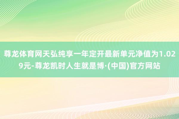 尊龙体育网天弘纯享一年定开最新单元净值为1.029元-尊龙凯时人生就是博·(中国)官方网站