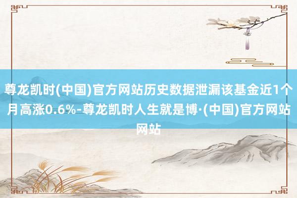 尊龙凯时(中国)官方网站历史数据泄漏该基金近1个月高涨0.6%-尊龙凯时人生就是博·(中国)官方网站