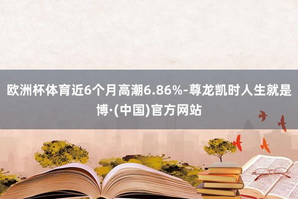 欧洲杯体育近6个月高潮6.86%-尊龙凯时人生就是博·(中国)官方网站