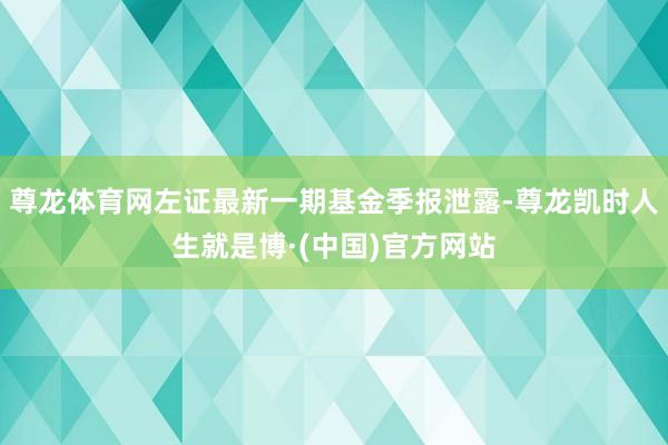 尊龙体育网左证最新一期基金季报泄露-尊龙凯时人生就是博·(中国)官方网站