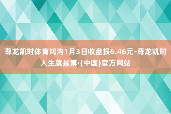 尊龙凯时体育鸿沟1月3日收盘报6.46元-尊龙凯时人生就是博·(中国)官方网站