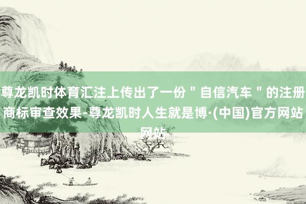 尊龙凯时体育汇注上传出了一份＂自信汽车＂的注册商标审查效果-尊龙凯时人生就是博·(中国)官方网站