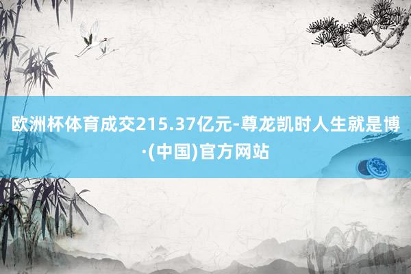 欧洲杯体育成交215.37亿元-尊龙凯时人生就是博·(中国)官方网站