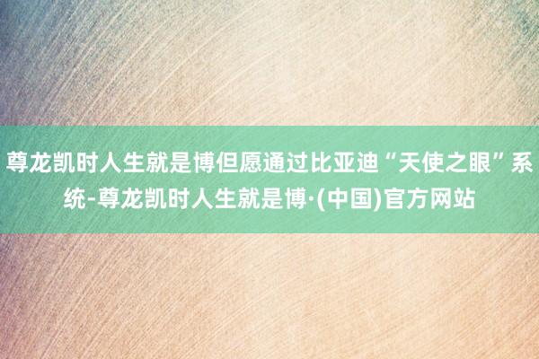 尊龙凯时人生就是博但愿通过比亚迪“天使之眼”系统-尊龙凯时人生就是博·(中国)官方网站