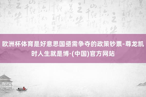 欧洲杯体育是好意思国亟需争夺的政策钞票-尊龙凯时人生就是博·(中国)官方网站