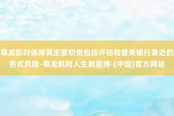 尊龙凯时体育其主要职责包括评估和管束银行靠近的各式风险-尊龙凯时人生就是博·(中国)官方网站