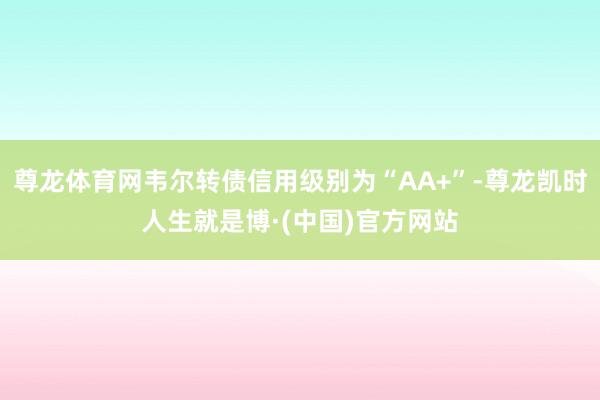 尊龙体育网韦尔转债信用级别为“AA+”-尊龙凯时人生就是博·(中国)官方网站