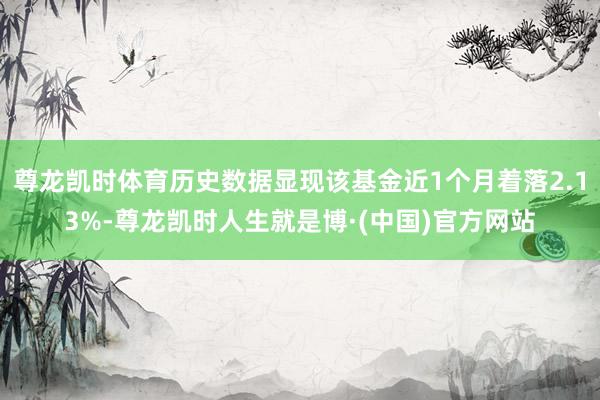 尊龙凯时体育历史数据显现该基金近1个月着落2.13%-尊龙凯时人生就是博·(中国)官方网站
