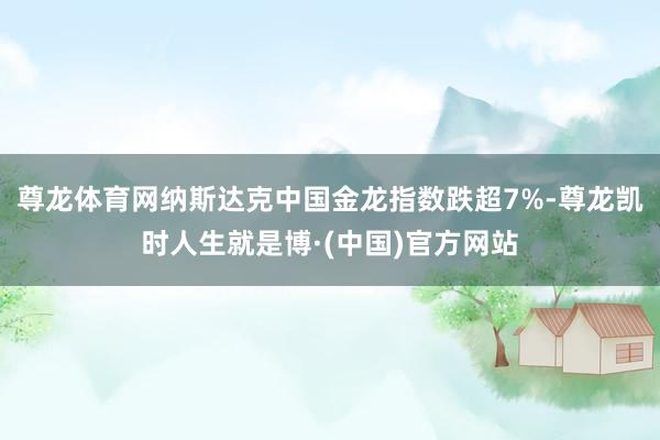 尊龙体育网纳斯达克中国金龙指数跌超7%-尊龙凯时人生就是博·(中国)官方网站
