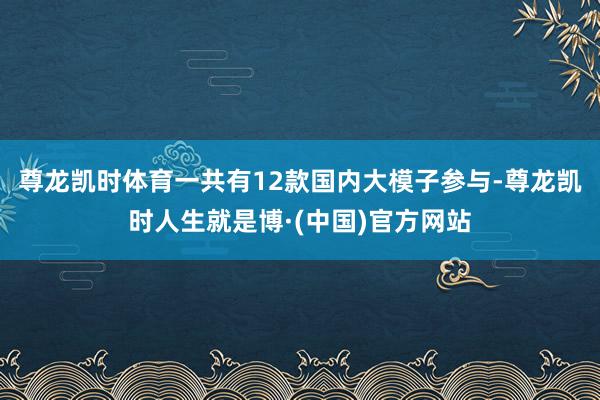 尊龙凯时体育一共有12款国内大模子参与-尊龙凯时人生就是博·(中国)官方网站