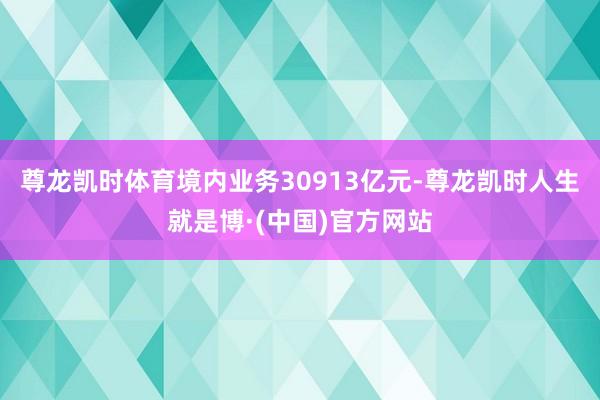尊龙凯时体育境内业务30913亿元-尊龙凯时人生就是博·(中国)官方网站