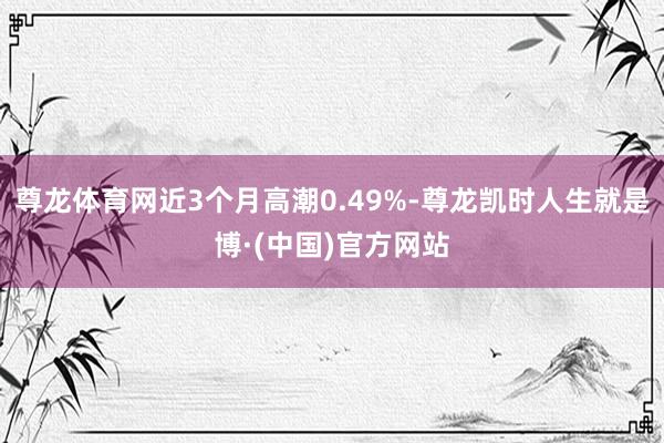 尊龙体育网近3个月高潮0.49%-尊龙凯时人生就是博·(中国)官方网站