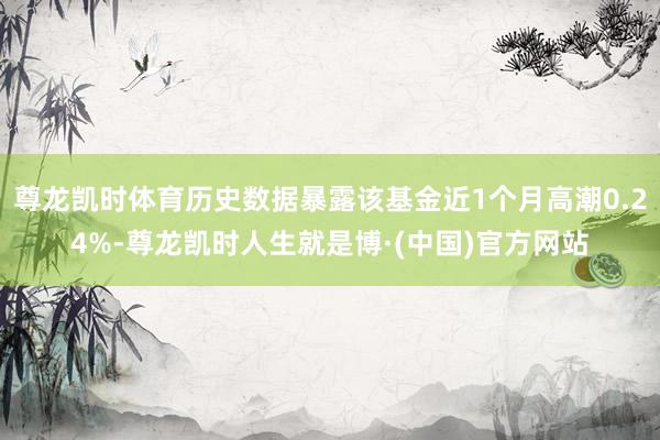 尊龙凯时体育历史数据暴露该基金近1个月高潮0.24%-尊龙凯时人生就是博·(中国)官方网站