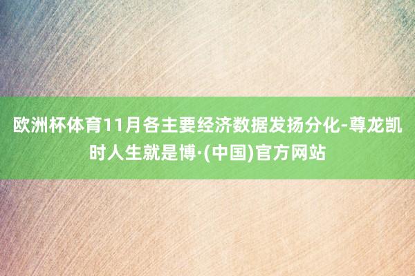 欧洲杯体育11月各主要经济数据发扬分化-尊龙凯时人生就是博·(中国)官方网站