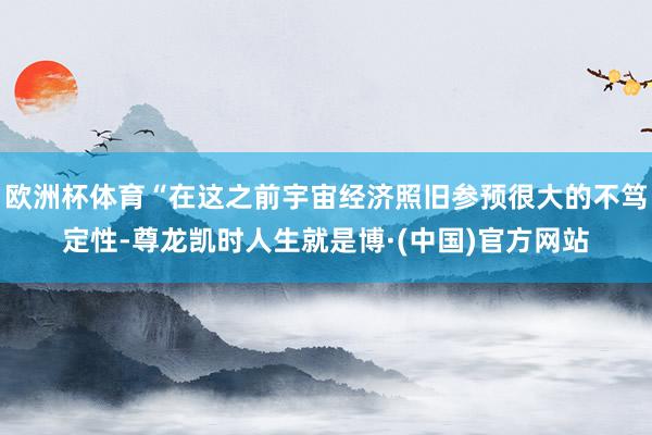 欧洲杯体育“在这之前宇宙经济照旧参预很大的不笃定性-尊龙凯时人生就是博·(中国)官方网站