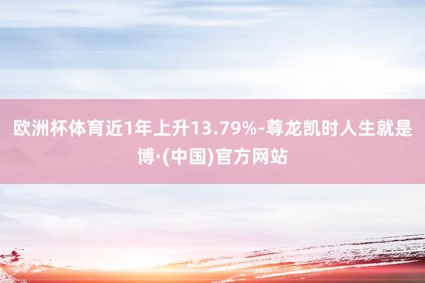 欧洲杯体育近1年上升13.79%-尊龙凯时人生就是博·(中国)官方网站