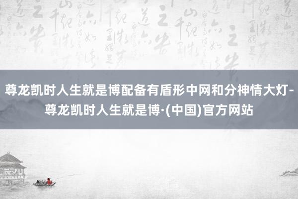 尊龙凯时人生就是博配备有盾形中网和分神情大灯-尊龙凯时人生就是博·(中国)官方网站
