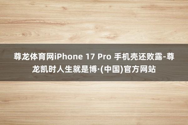 尊龙体育网iPhone 17 Pro 手机壳还败露-尊龙凯时人生就是博·(中国)官方网站