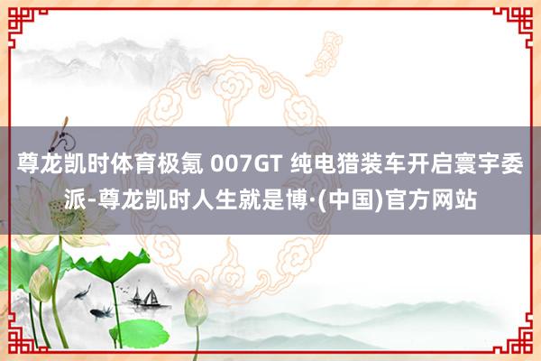 尊龙凯时体育极氪 007GT 纯电猎装车开启寰宇委派-尊龙凯时人生就是博·(中国)官方网站
