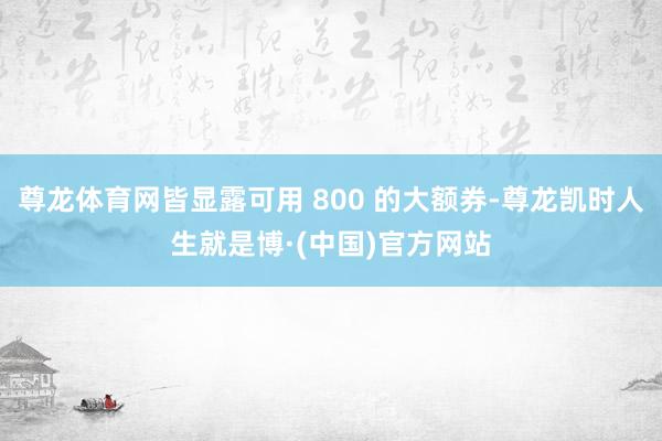尊龙体育网皆显露可用 800 的大额券-尊龙凯时人生就是博·(中国)官方网站