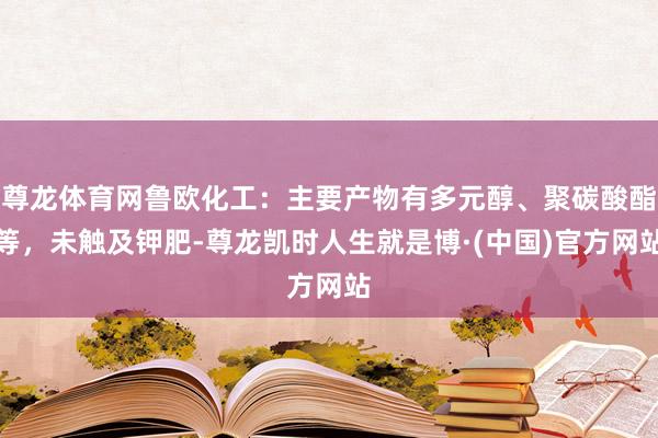 尊龙体育网鲁欧化工：主要产物有多元醇、聚碳酸酯等，未触及钾肥-尊龙凯时人生就是博·(中国)官方网站
