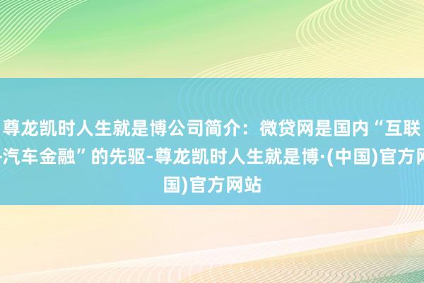 尊龙凯时人生就是博公司简介:微贷网是国内“互联网+汽车金融”的先驱-尊龙凯时人生就是博·(中国)官方网站