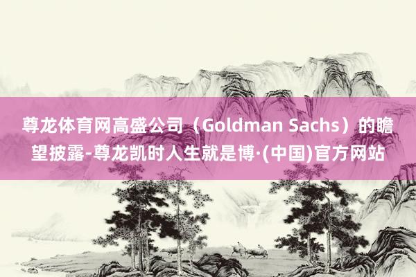 尊龙体育网高盛公司(Goldman Sachs)的瞻望披露-尊龙凯时人生就是博·(中国)官方网站