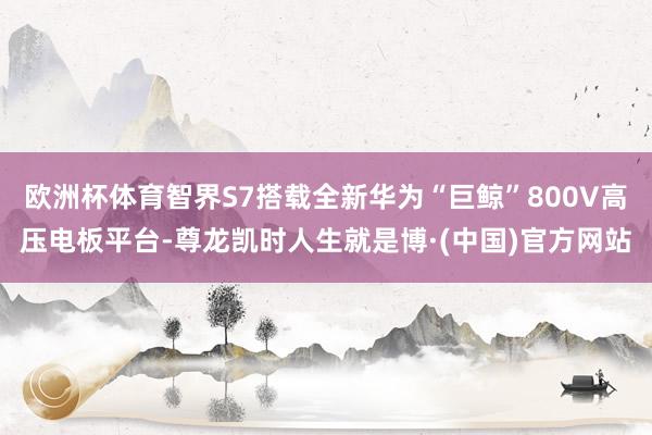欧洲杯体育智界S7搭载全新华为“巨鲸”800V高压电板平台-尊龙凯时人生就是博·(中国)官方网站