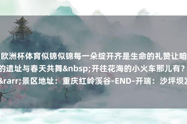欧洲杯体育似锦似锦每一朵绽开齐是生命的礼赞让咱们拥抱当然感受生命的遗址与春天共舞开往花海的小火车那儿有？就在沙坪坝这里&rarr;景区地址：重庆红岭溪谷-END-开端：沙坪坝发布微信公众号-尊